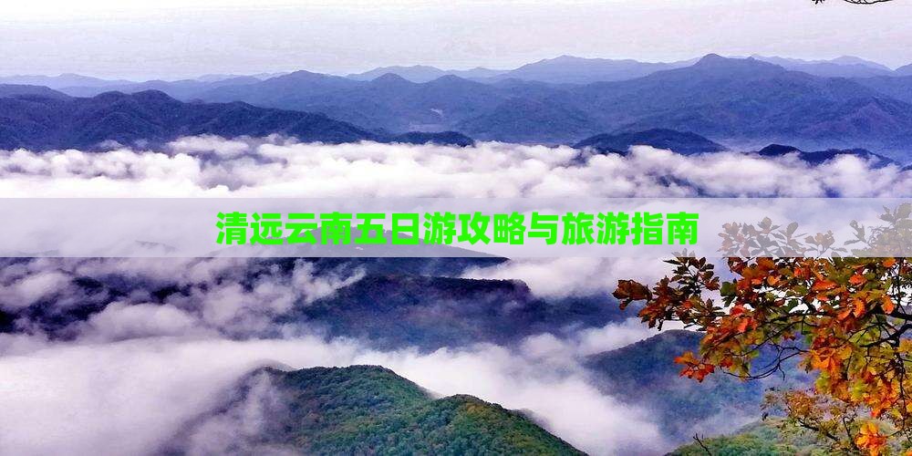 清远到云南五日游