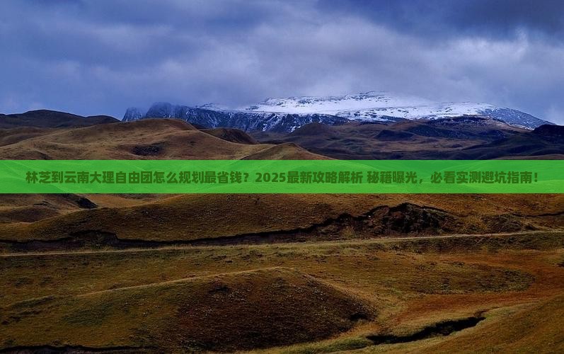 林芝到云南大理自由团