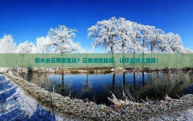 丽水去云南哪里玩