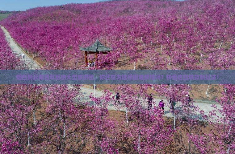 烟台到云南西双版纳大型旅游团
