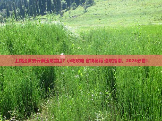 上饶去云南玉龙雪山旅游小吃