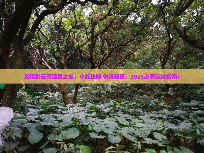 黔南到云南温泉旅游小吃
