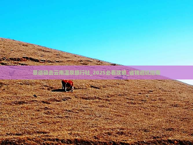 景德镇去云南温泉旅行社