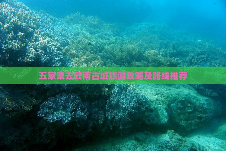 五家渠去云南古城旅游
