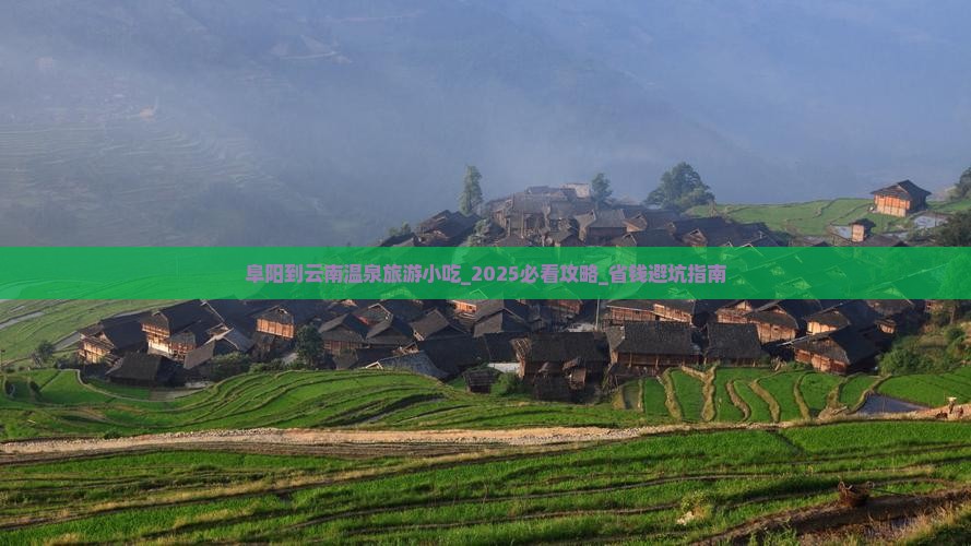 阜阳到云南温泉旅游小吃