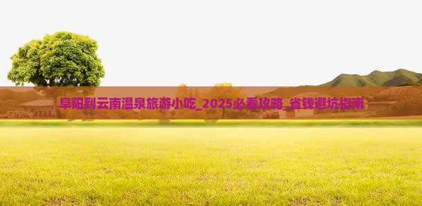 阜阳到云南温泉旅游小吃