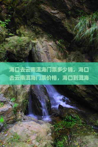 海口去云南洱海门票