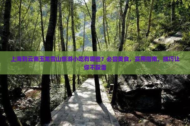 上海到云南玉龙雪山旅游小吃