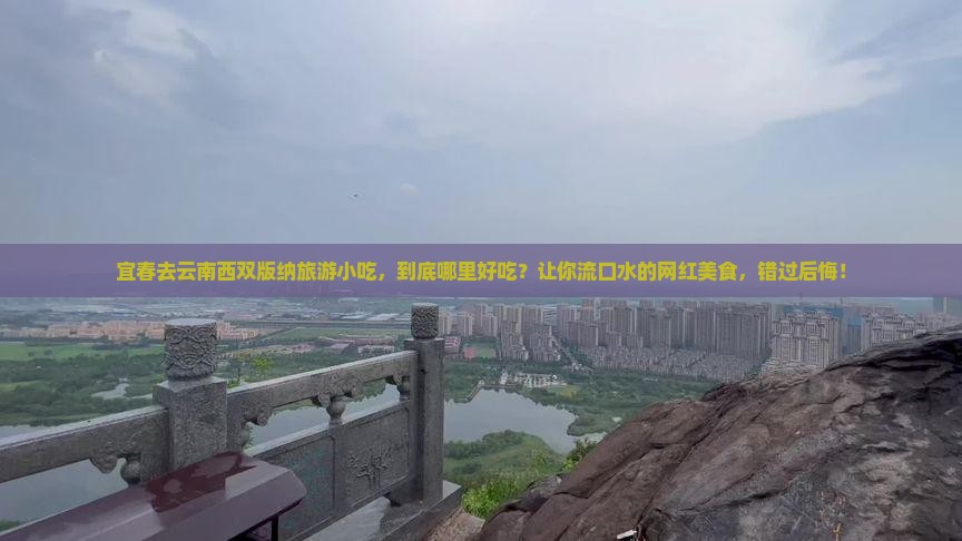 宜春去云南西双版纳旅游小吃