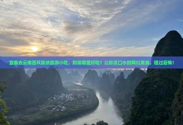 宜春去云南西双版纳旅游小吃