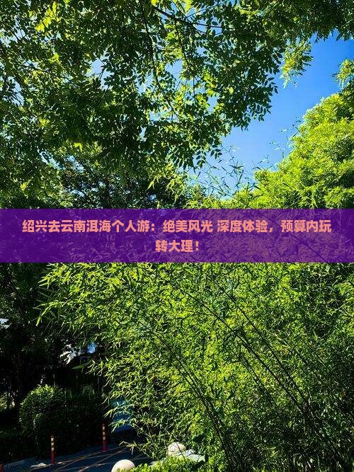 绍兴去云南洱海个人游