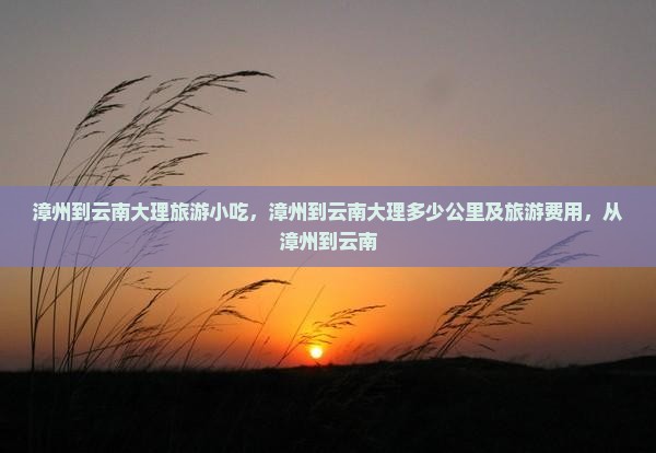 漳州到云南大理旅游小吃