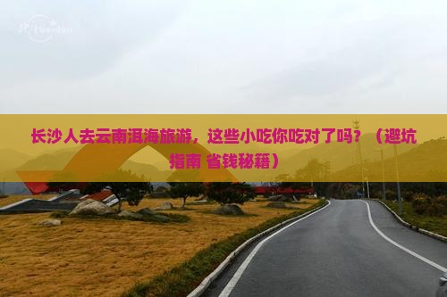 长沙去云南洱海旅游小吃