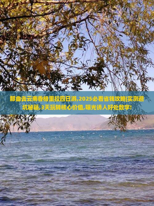 那曲去云南香格里拉四日游