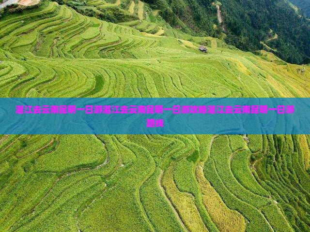 湛江去云南昆明一日