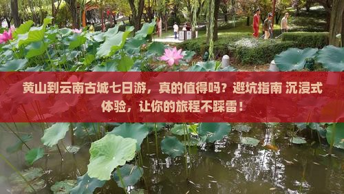 黄山到云南古城七日游