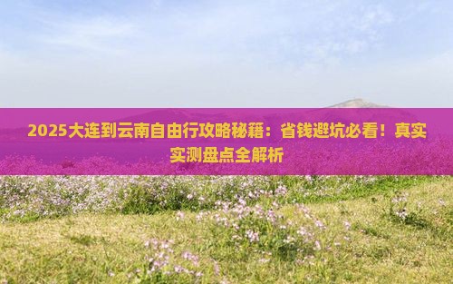 大连到云南自由行