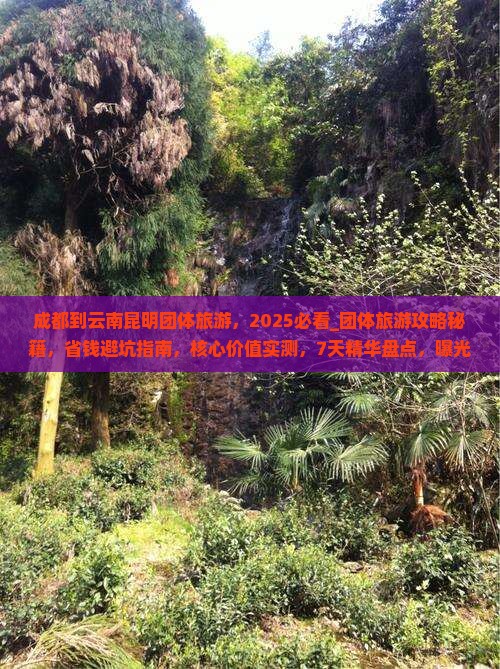 成都到云南昆明团体旅游