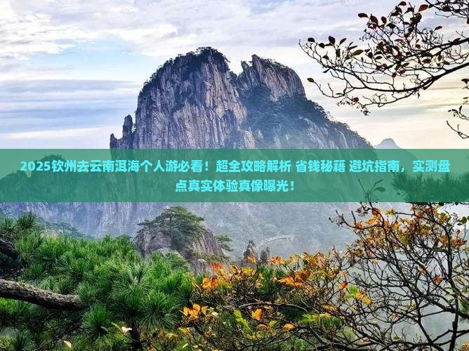 钦州去云南洱海个人游