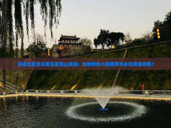 吕梁出发至云南玉龙雪山旅游：当地特色小吃推荐与必吃美食攻略？