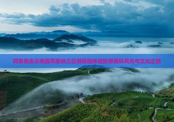 阿泰勒去云南西双版纳三日游探险体验热带雨林风光与文化之旅