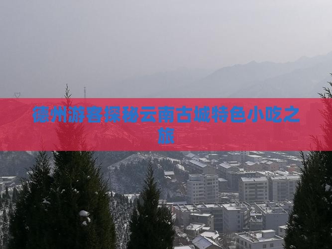 德州游客探秘云南古城特色小吃之旅