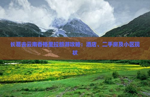 长葛去云南香格里拉旅游攻略：酒店、二手房及小区现状
