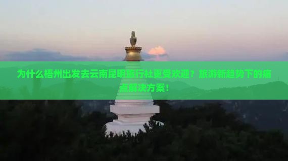 为什么梧州出发去云南昆明旅行社更受欢迎？旅游新趋势下的痛点解决方案！