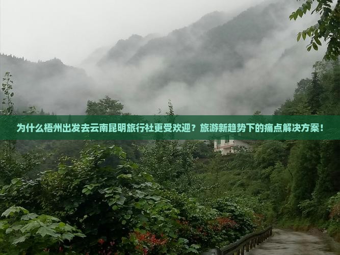 为什么梧州出发去云南昆明旅行社更受欢迎？旅游新趋势下的痛点解决方案！