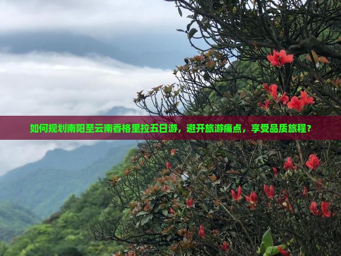 如何规划南阳至云南香格里拉五日游，避开旅游痛点，享受品质旅程？