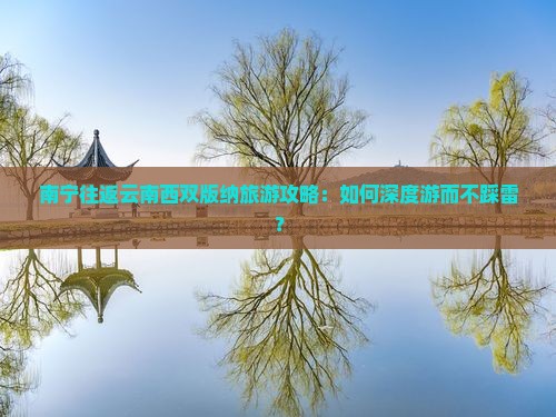 南宁往返云南西双版纳旅游攻略：如何深度游而不踩雷？
