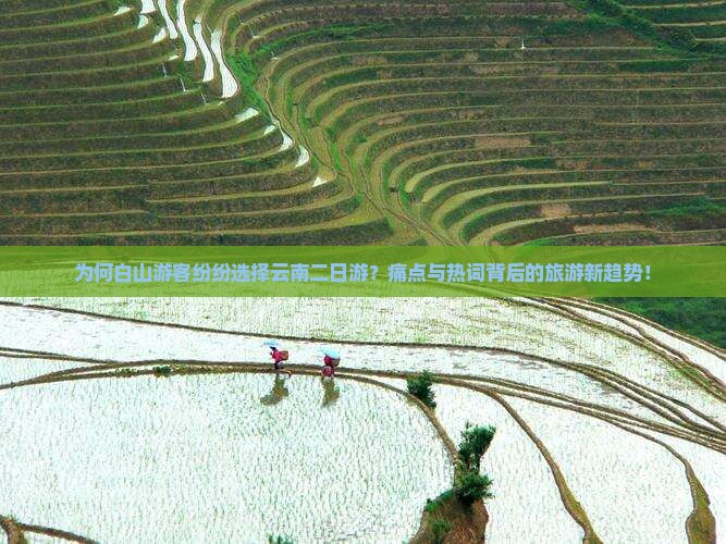 为何白山游客纷纷选择云南二日游？痛点与热词背后的旅游新趋势！