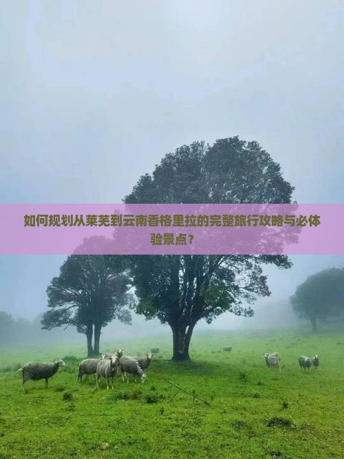 如何规划从莱芜到云南香格里拉的完整旅行攻略与必体验景点？
