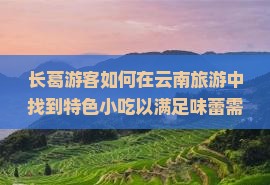 长葛游客如何在云南旅游中找到特色小吃以满足味蕾需求？