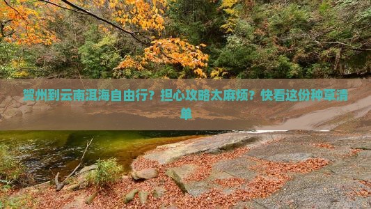 贺州到云南洱海自由行？担心攻略太麻烦？快看这份种草清单