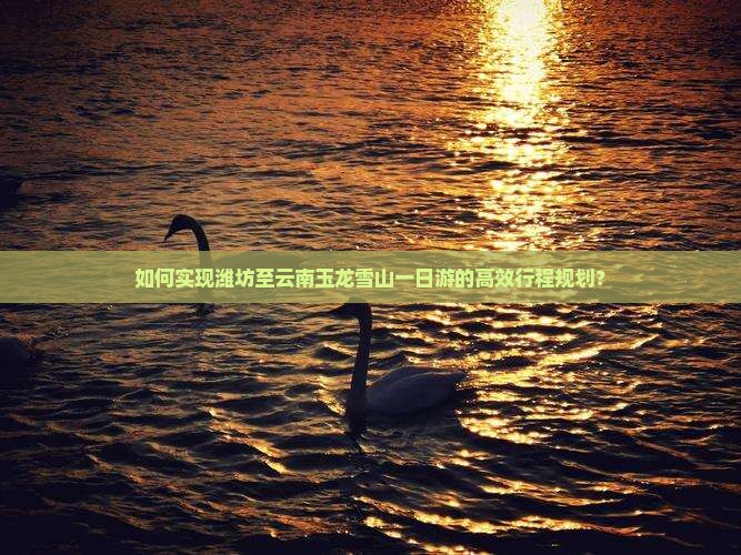 如何实现潍坊至云南玉龙雪山一日游的高效行程规划？