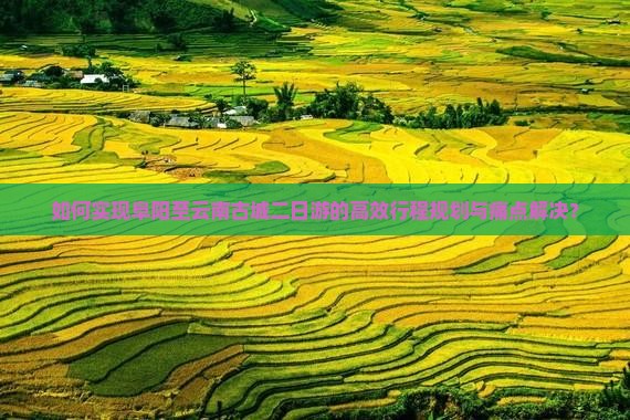 如何实现阜阳至云南古城二日游的高效行程规划与痛点解决？