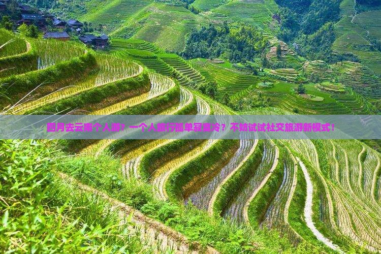 四月去云南个人游？一个人旅行孤单寂寞冷？不妨试试社交旅游新模式！