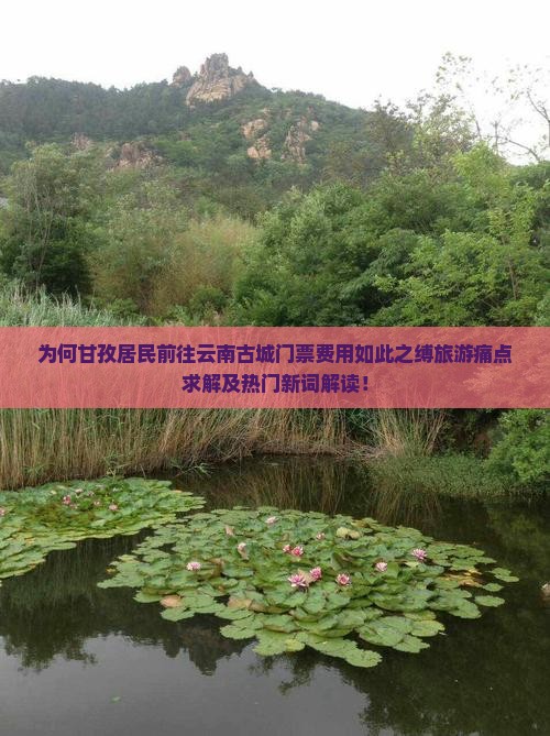 为何甘孜居民前往云南古城门票费用如此之缚旅游痛点求解及热门新词解读！