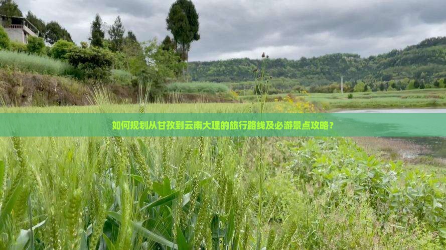 如何规划从甘孜到云南大理的旅行路线及必游景点攻略？