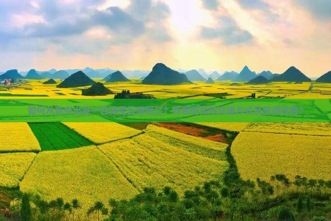 如何从新乡出发一日游至云南丽江？有哪些高效交通方式及旅游攻略？