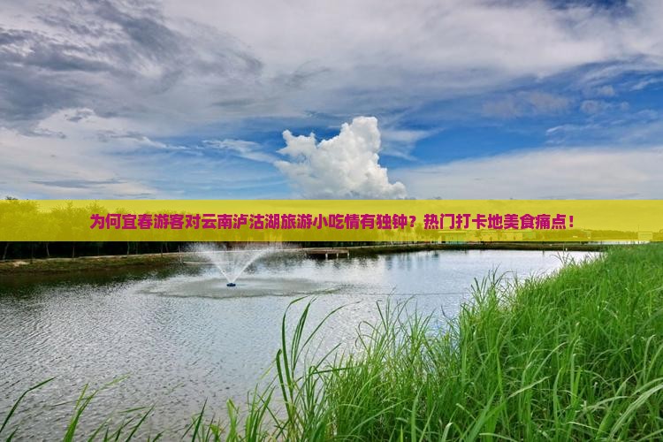 为何宜春游客对云南泸沽湖旅游小吃情有独钟？热门打卡地美食痛点！