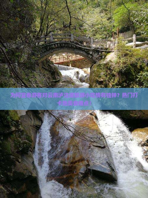 为何宜春游客对云南泸沽湖旅游小吃情有独钟？热门打卡地美食痛点！