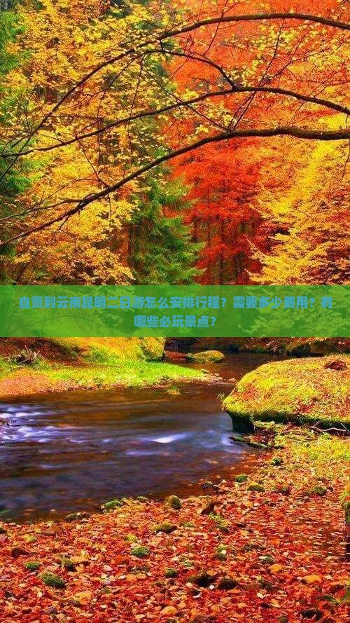 自贡到云南昆明二日游怎么安排行程？需要多少费用？有哪些必玩景点？