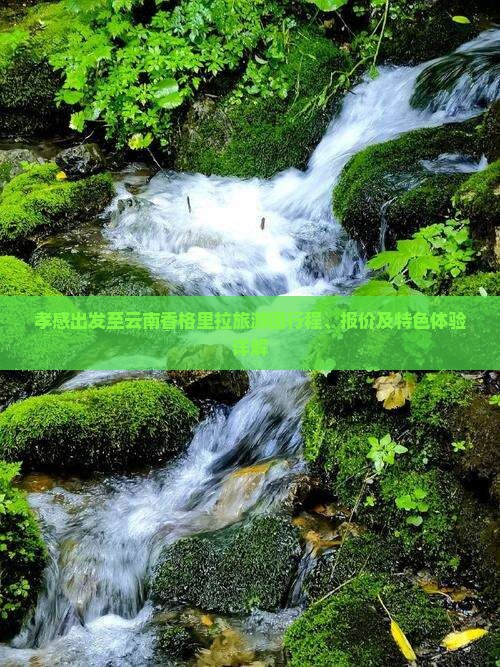 孝感出发至云南香格里拉旅游团行程、报价及特色体验详解