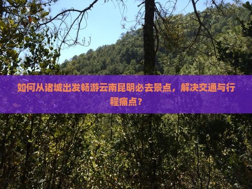如何从诸城出发畅游云南昆明必去景点，解决交通与行程痛点？