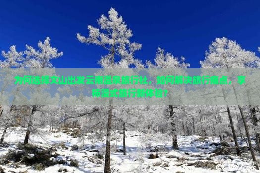 为何选择文山出发云南温泉旅行社，如何解决旅行痛点，享柿浸式旅行新体验？