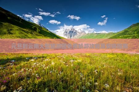 元旦到云南大型旅游团免费畅游攻略及安排指南