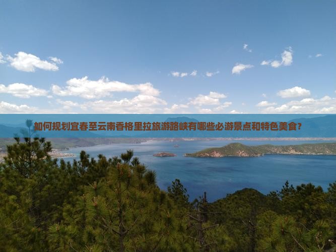 如何规划宜春至云南香格里拉旅游路峡有哪些必游景点和特色美食？