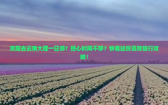 资阳去云南大理一日游？担心时间不够？快看这份高效旅行攻略！